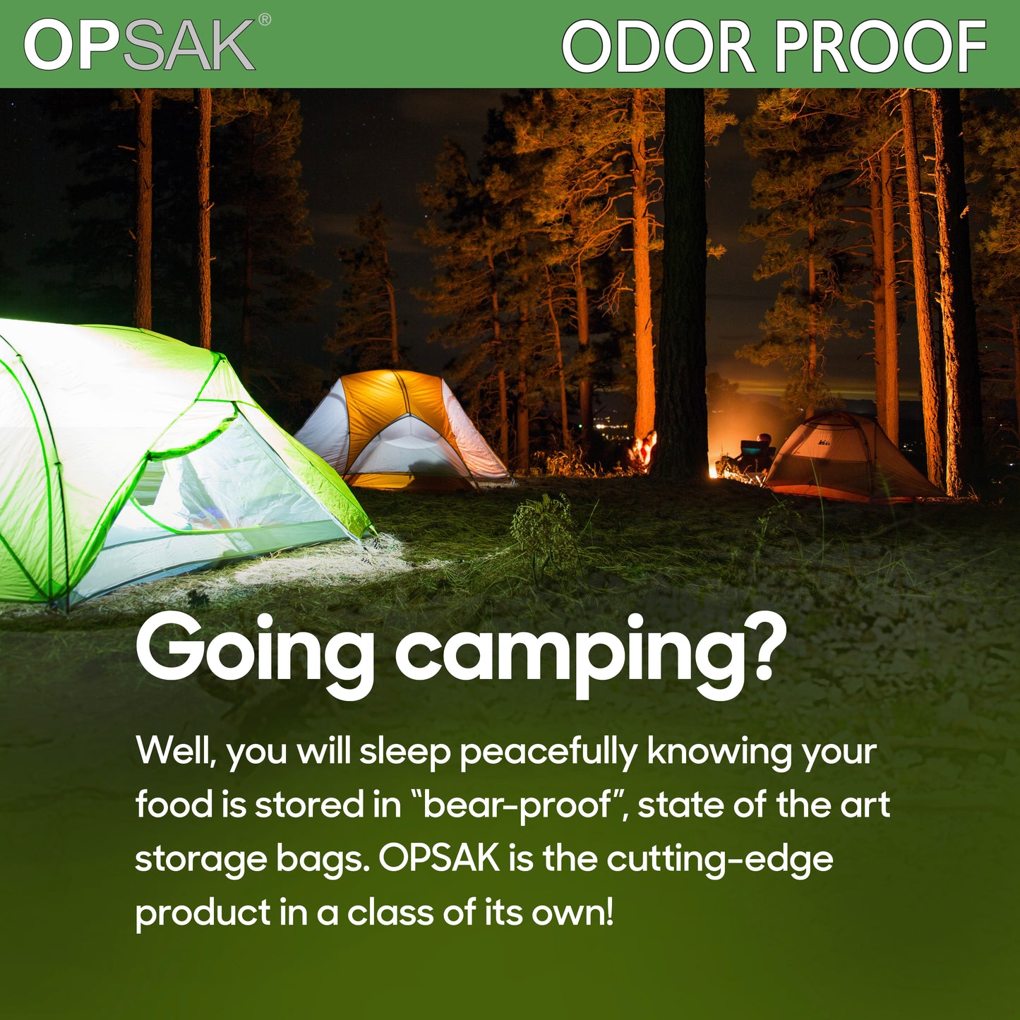 Odor Proof Bag Assorted Set | Bear Barrier Tested | 3 Pack | OPSAK